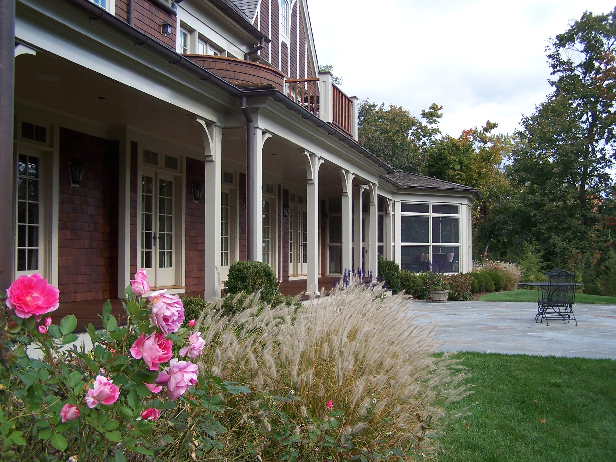 20 native grasses.JPG