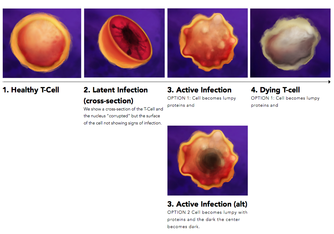 Screen Shot 2017-05-23 at 11.46.18 AM.png