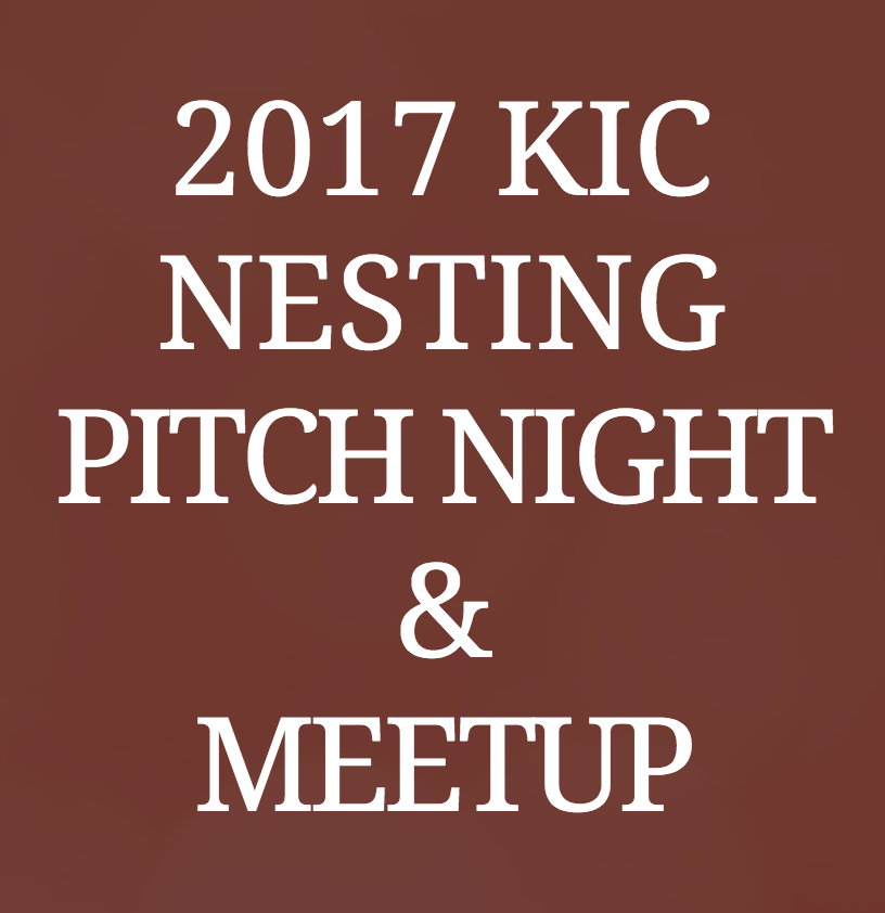 2017 KIC (Korean Innovative Club)  Nesting Pitch Night 
