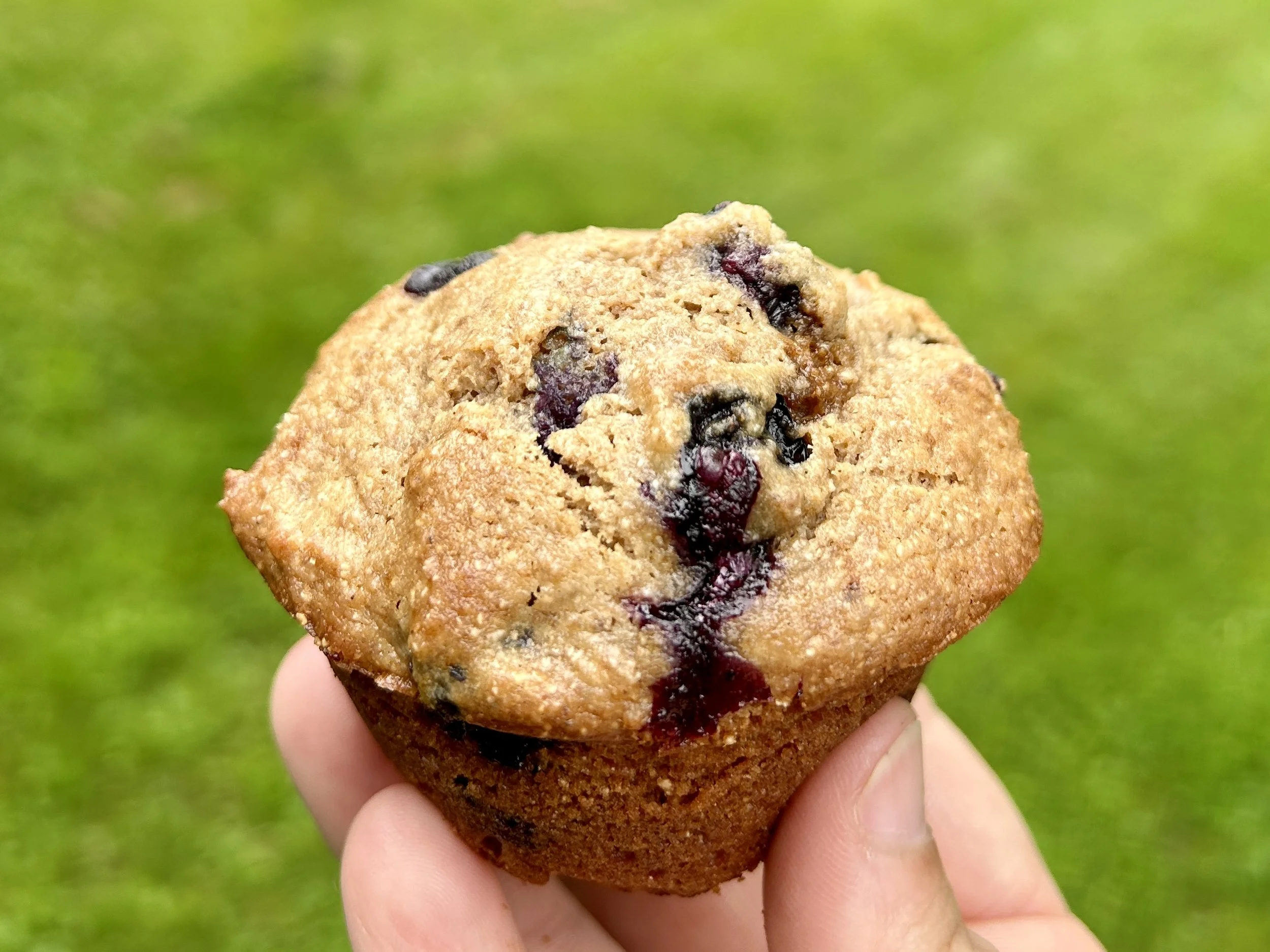 Recipe: Sour Cream Blueberry Muffins