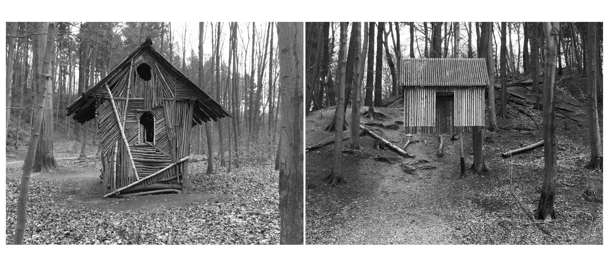 Photographs from Kunstwald Projects (The Hessian Forest) 