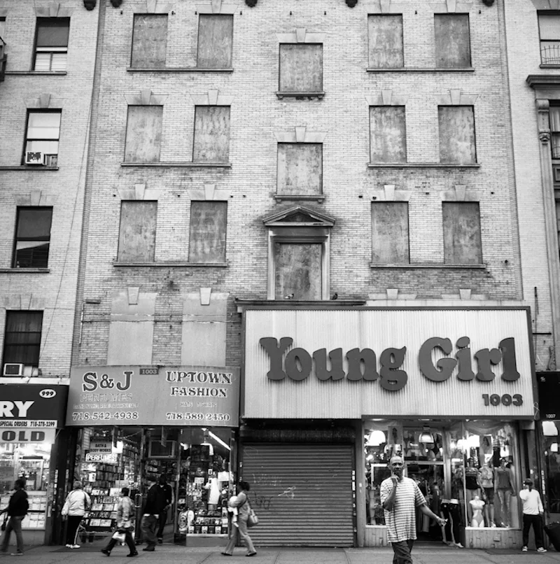 Young Girl, the Bronx