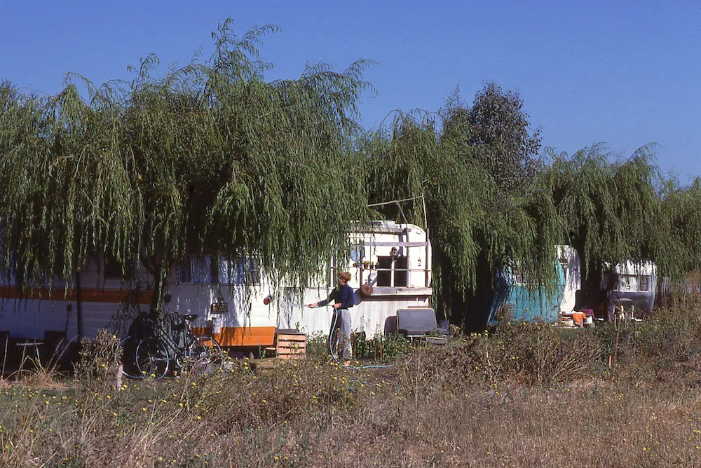 tree_for_every_trailer_2.jpg