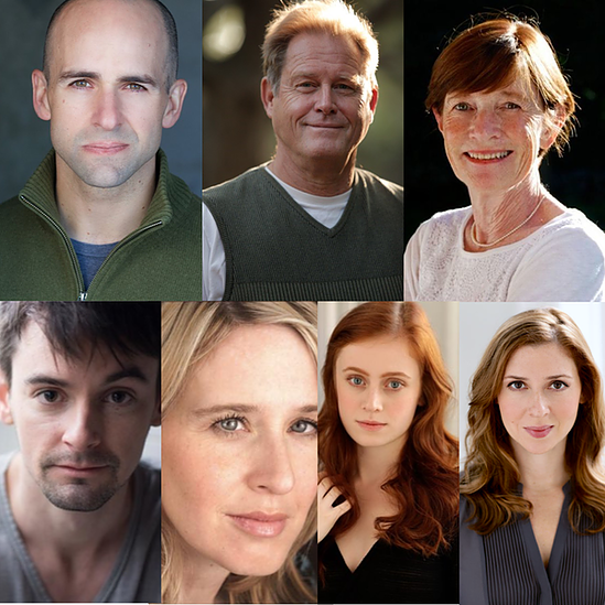 The cast: Mark Bedard, Brian Kerwin, Ann McDonough, David McElwee, Polly Noonan, Susannah Perkins, Miriam Silverman