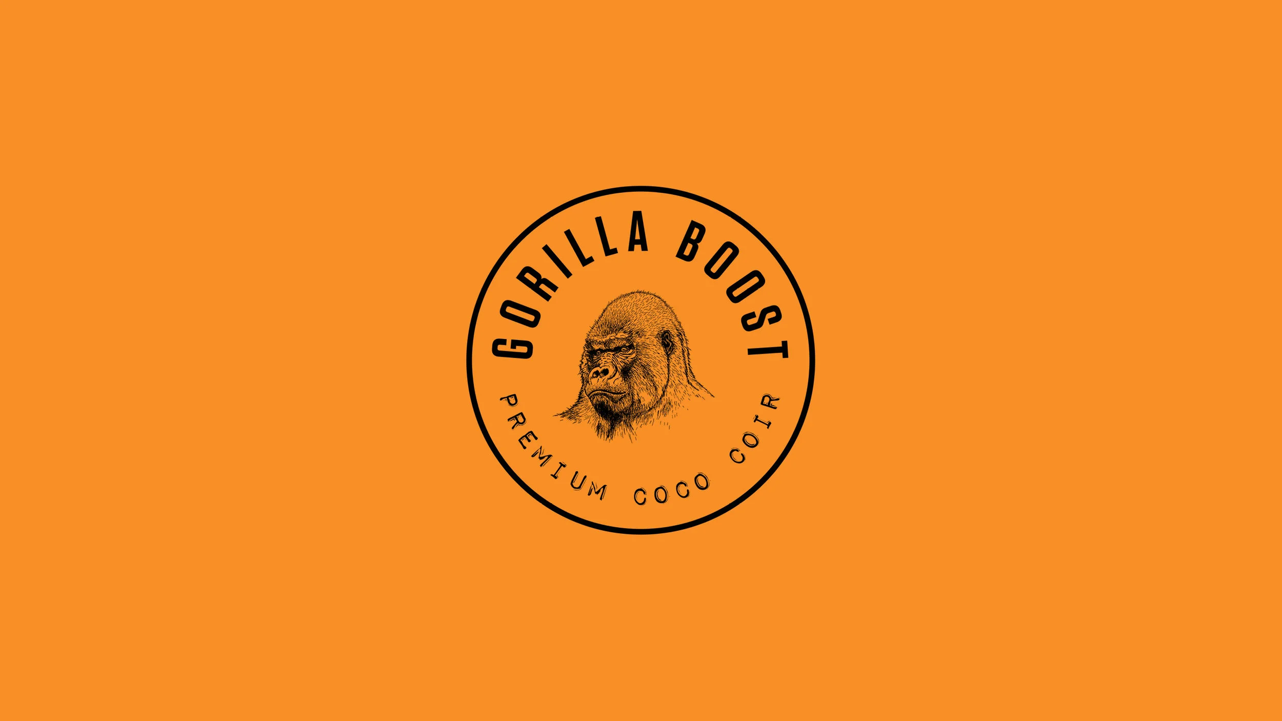 Gorilla Boost_Case Study2.jpg