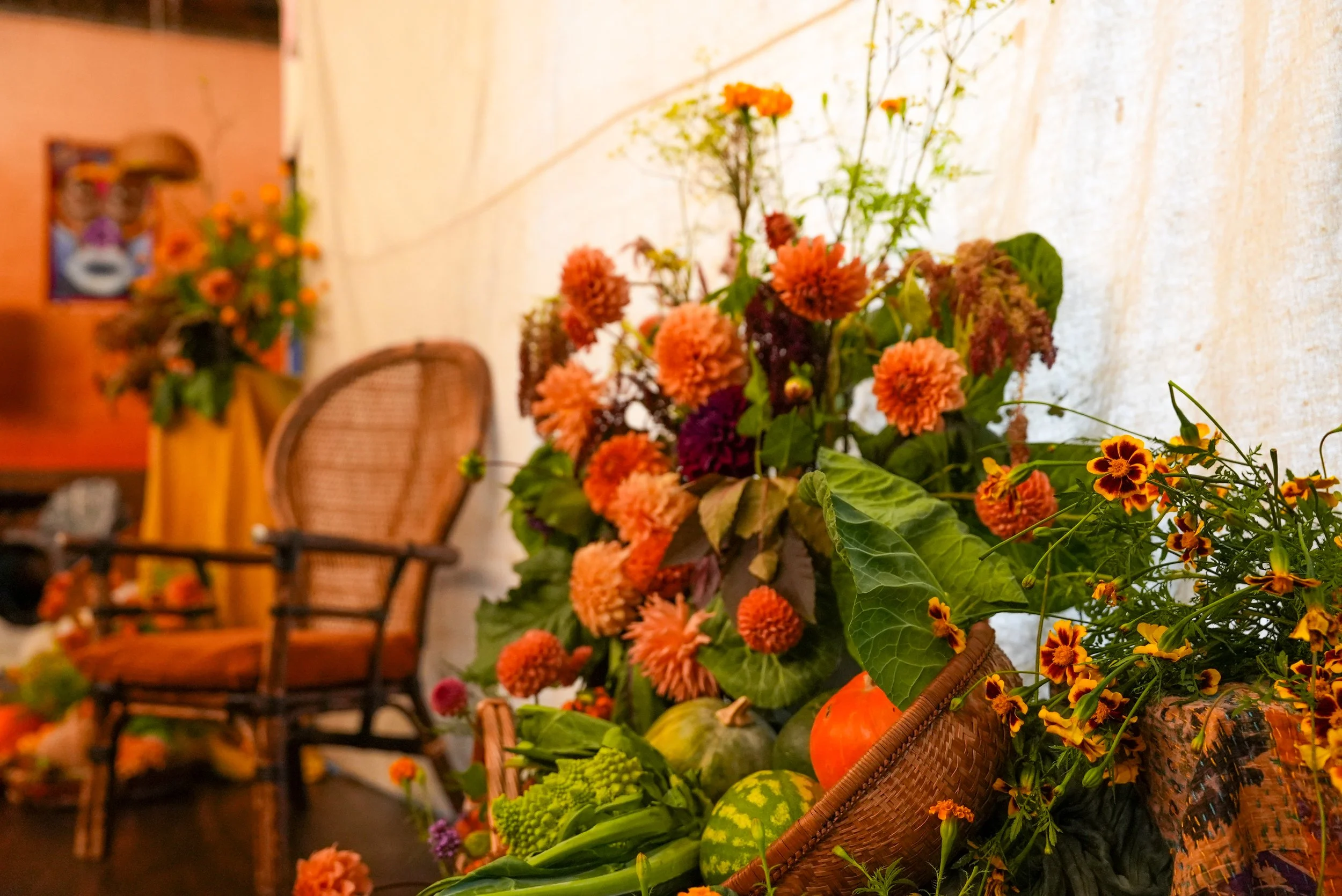 BOLT x FEEDEM FREEDOM FARM TO TABLE-007.jpg