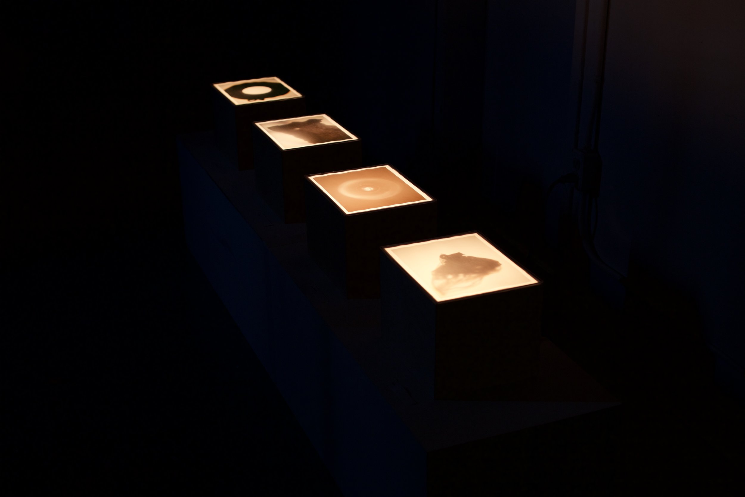 Vellum prints placed under Plexiglas sheets and lit by a soft incandescent bulb placed in the interior of each box. Boxes are made of plywood.