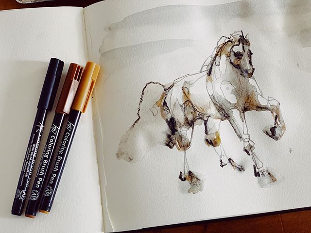 Thankful for friends who gift the coolest tools @julialMaria 67 🖌  Having fun exploring with these while the my Special K sleeps 💤 Feels so good to create
.
.
.
.
#equineart #sketch #colouringbrushpen #koi #ink #horse #horseart #equestrian #dressag