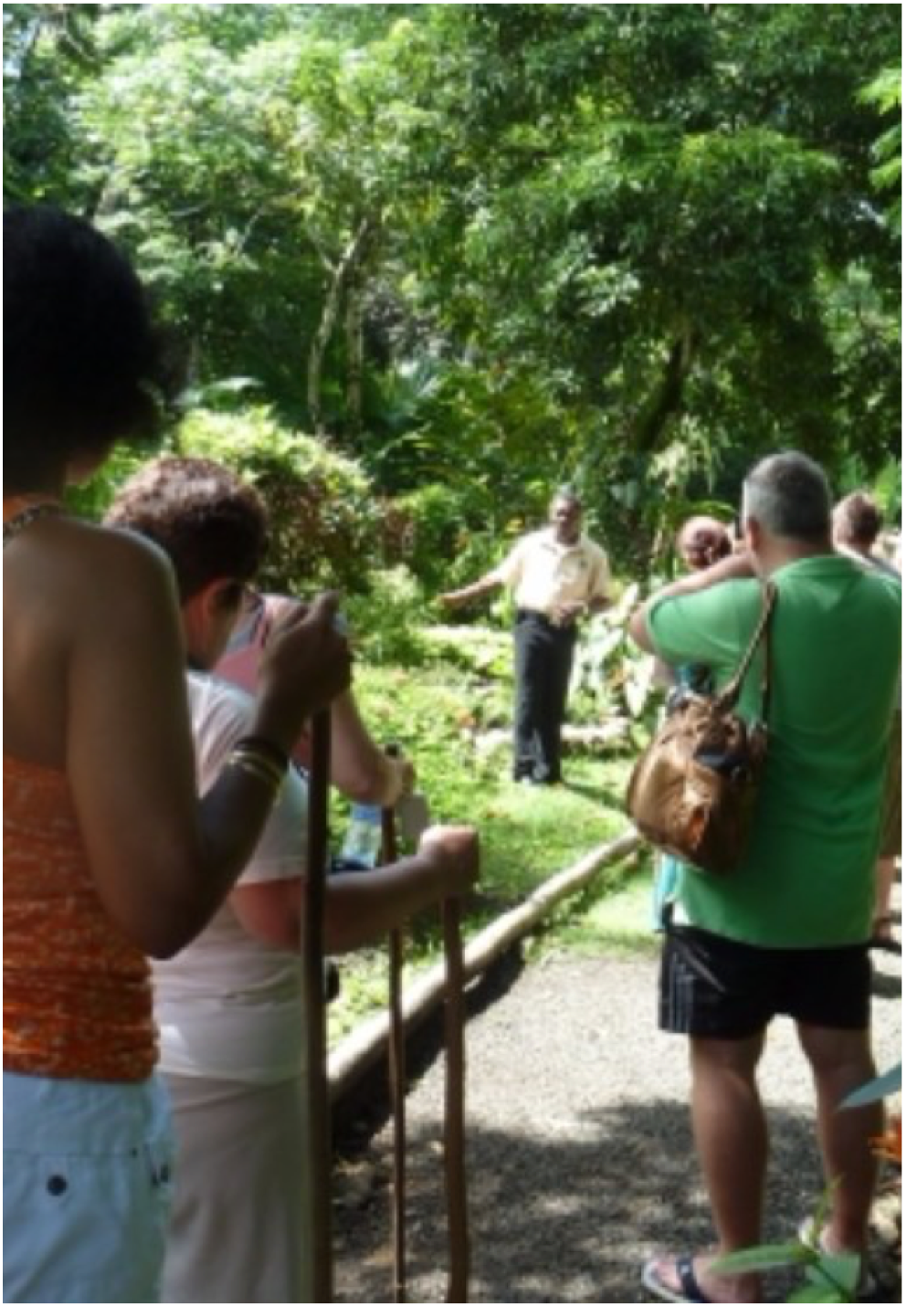 LUSHAN COUNTRY LIFE A family owned and run tour and an authentic insight into the Saint Lucian culture. Explore the St Lucians' ancestors and forefathers traditional houses, discover the island's spices, fruits and tropical birds through the garden and rainforest trails. A tour for the whole family to enjoy.