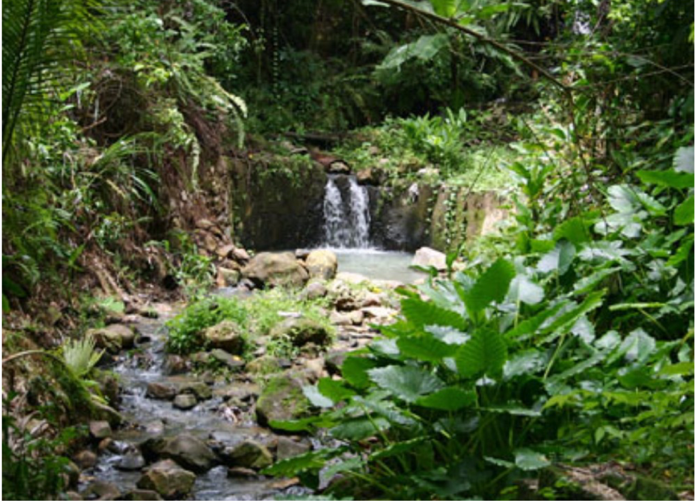 RAINFOREST EXCURSION If you are a little adventurous and up for a bit of a hike you will be rewarded with spectacular scenery on a trip into the St Lucia rainforest. If you’ve seen the beaches and fancy getting up and about away from the beaten track, then you can choose between 3 different trails from beginners to advanced- all which lead to secluded waterfalls in the rainforest