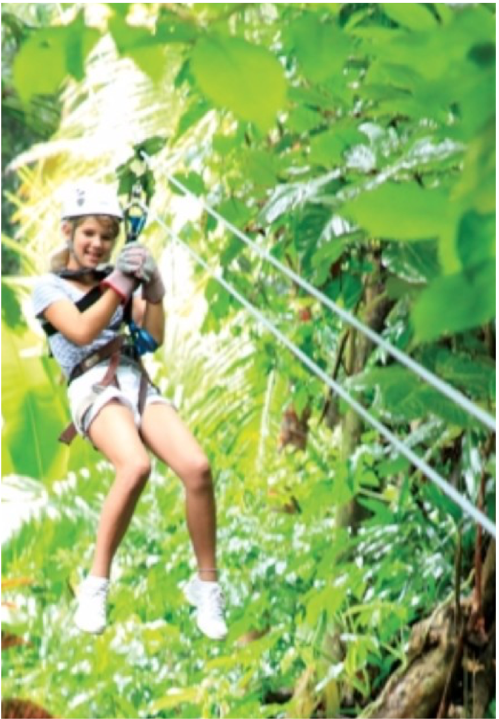 HOT WIRE RIDES IN SOUFRIERE A more exciting take on sightseeing, this zip-line adventure is a great way to explore the island's whilst admiring some stunning views of the Petit Piton, Soufriere and the Caribbean Sea. The family-friendly tour takes you through the coffee and cocoa plantations of the Morne Coubaril Estate and its beautiful coconut, mango and plum trees, as well as its beautiful bamboo lined gorge.