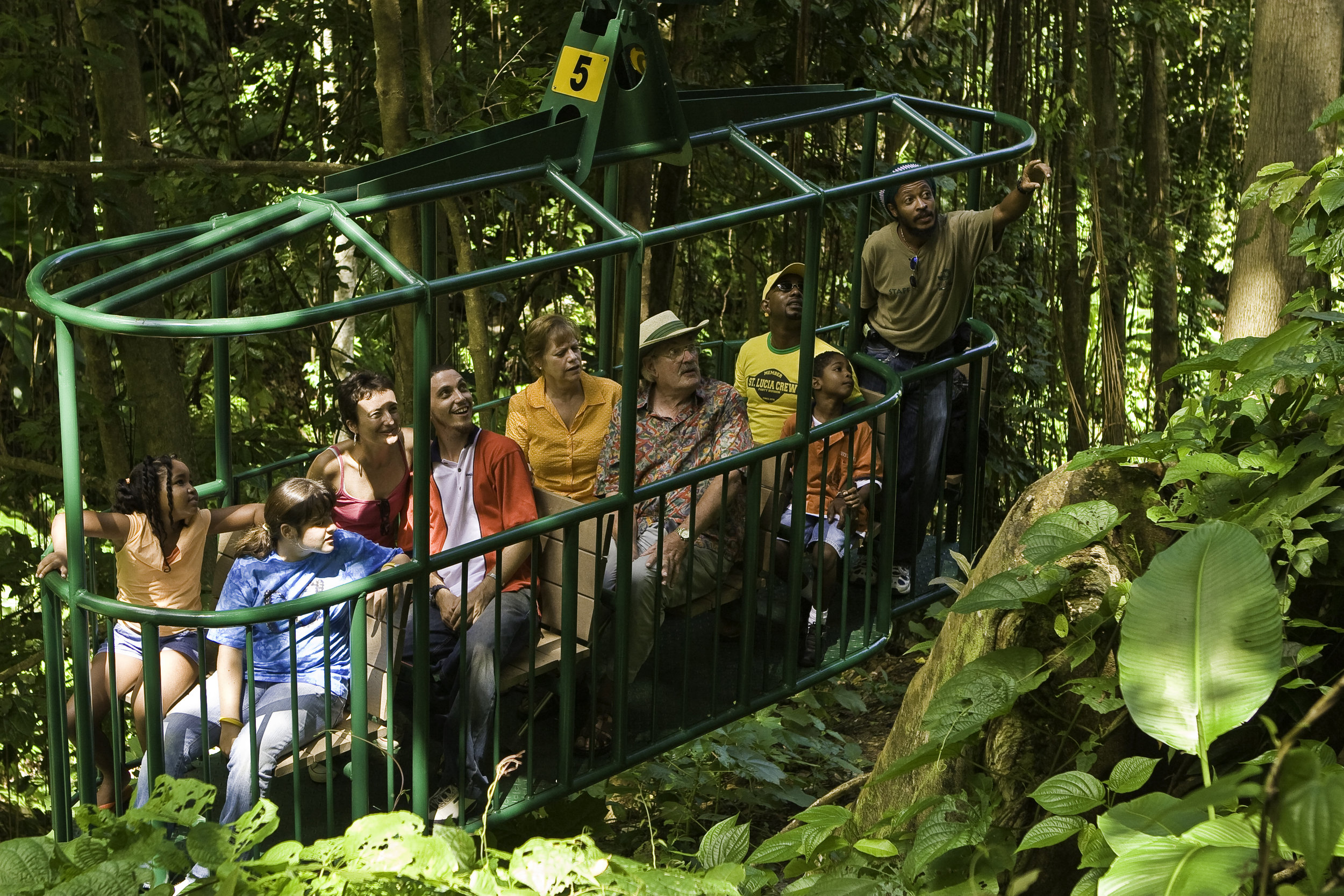 rainforest canopy tram ride.jpg