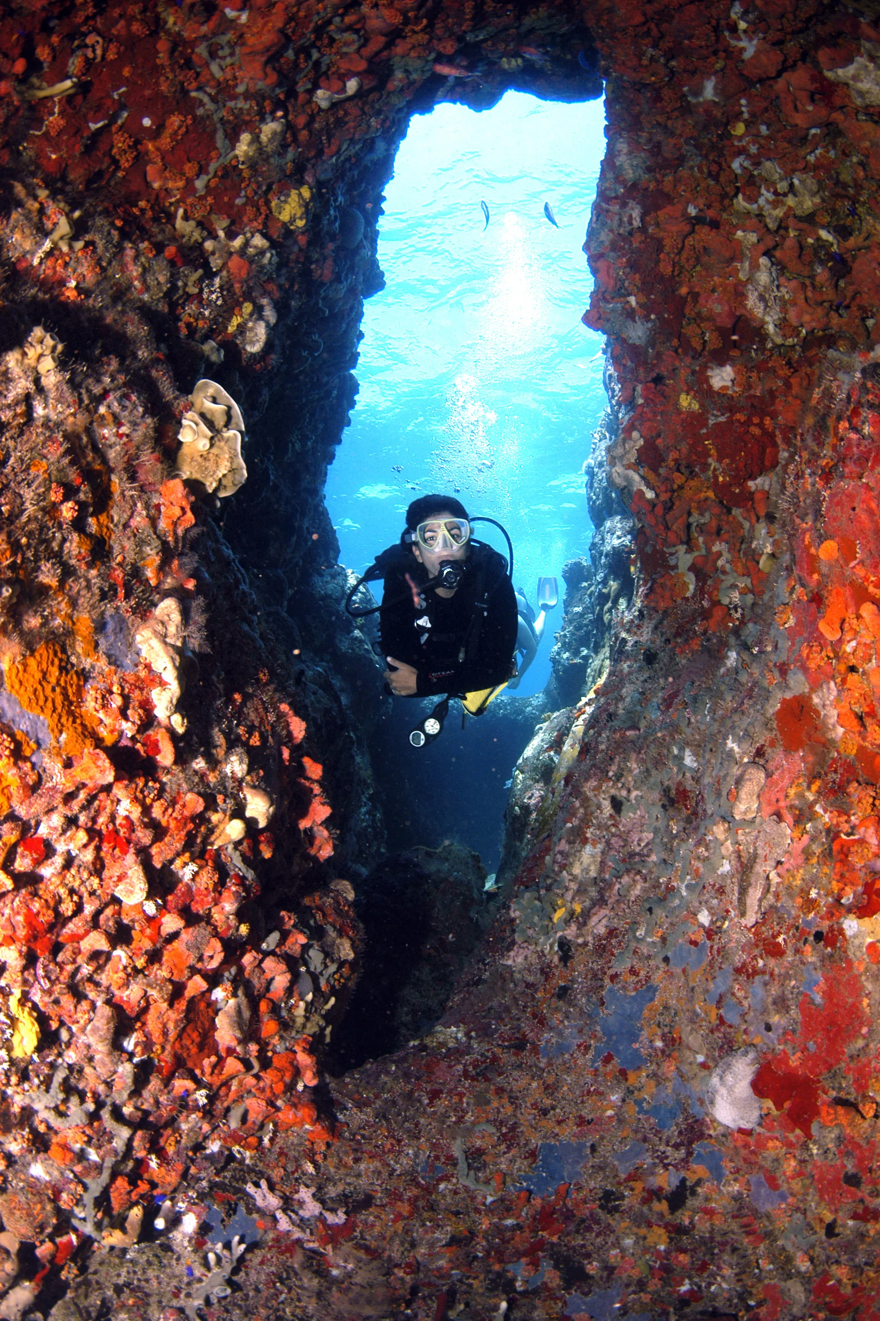 dsc_rhone reeff tunnel formations, salt isaland.jpg
