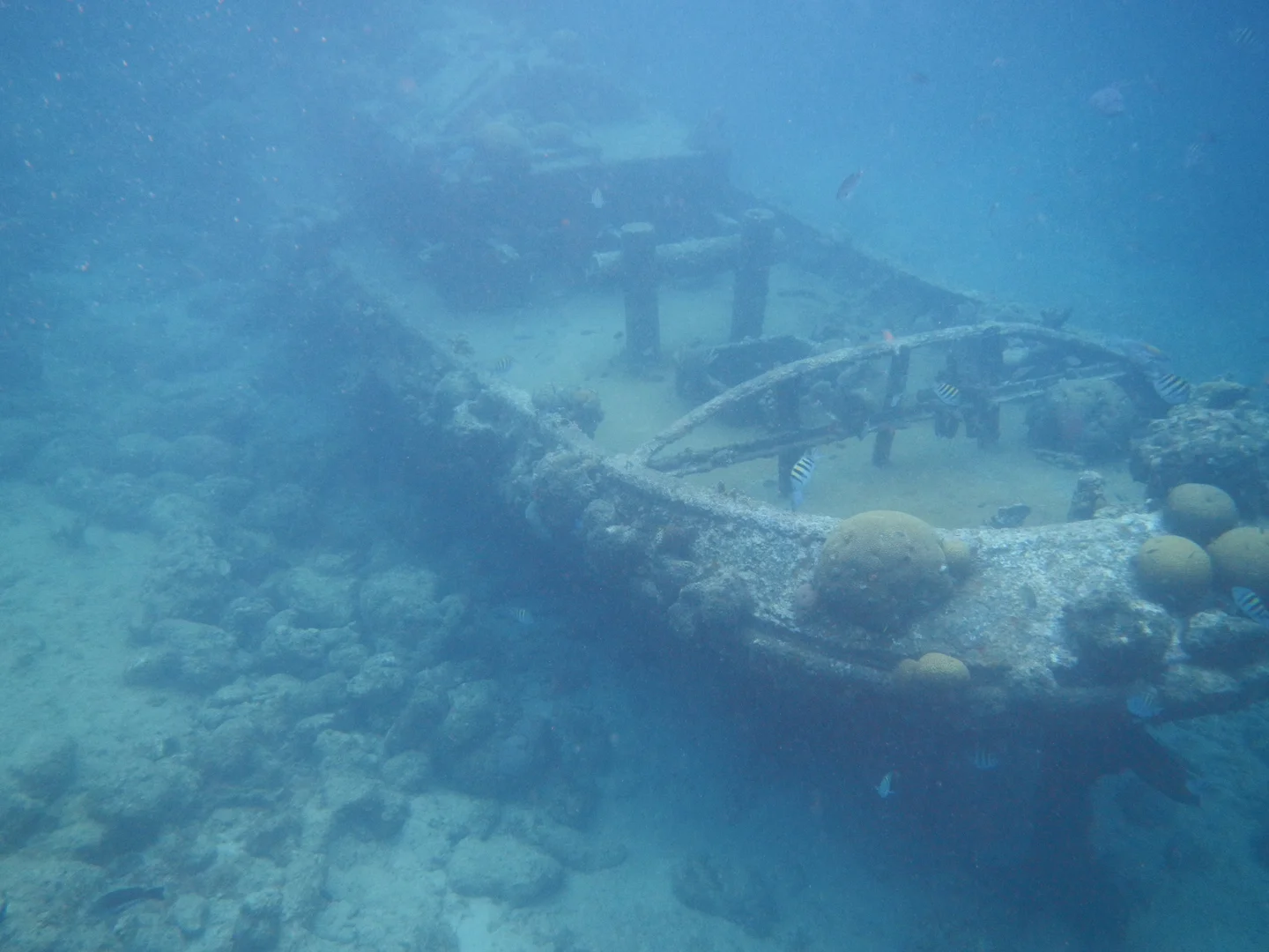 109b.jpg