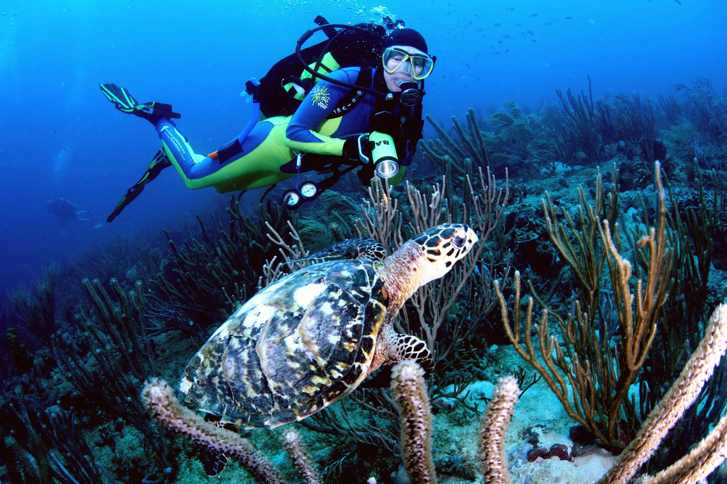 diver & turtle - aquanauts.jpg