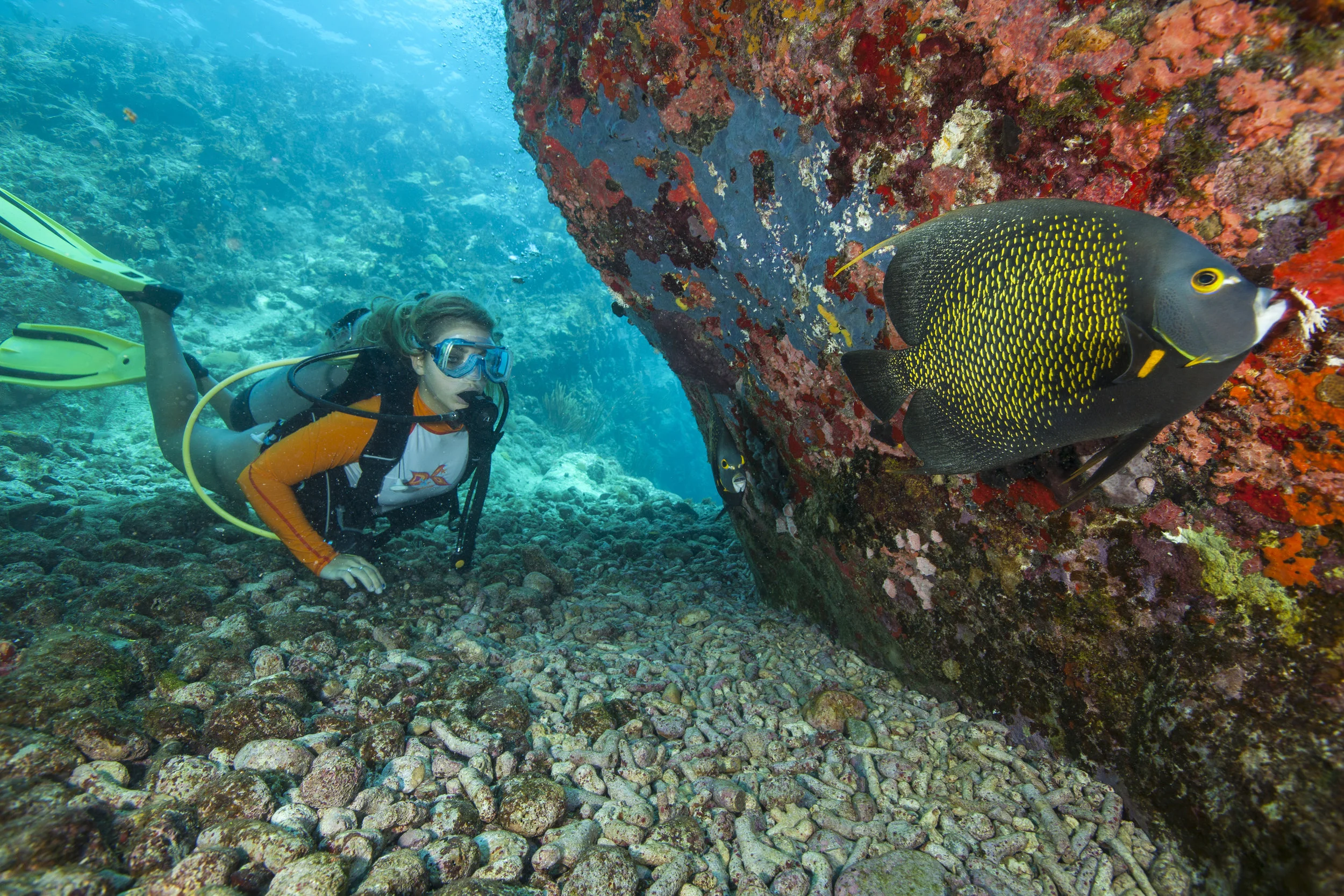 cow rock stt 2.jpg