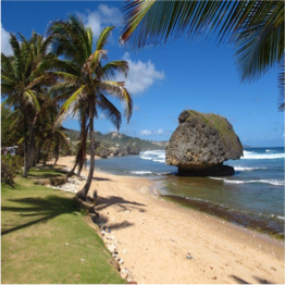 BATHSHEBA BEACH Bathsheba was the wife of King David, and legend has it that the white sand and ... More