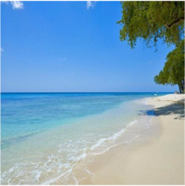 MAHOGANY BAY BEACH Located in the parish of St.James is a bay that offers calm waters, clear pools... More