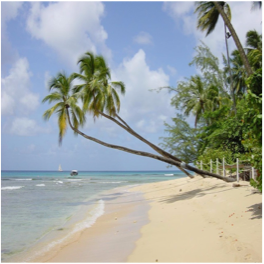 MULLINS BEACH A really popular Barbados beach, Mullins beach, located in the parish of... More