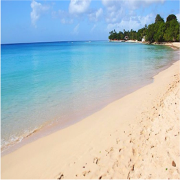REEDS BAY Reeds Bay is a very quiet unspoiled beach that is... More