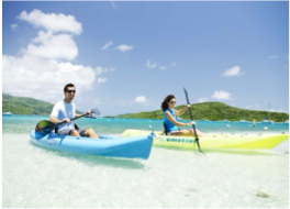 KAYAKING Another great way to discover the country's natural beauty is to kayak around its beautiful coastline and explore its shallows. There, you will be able to spot and observe a wide variety of marine wildlife, including the playful dolphins at the Tortola Dolphin Discovery!