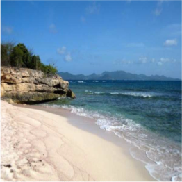 ELSIE BAY BEACH Elsie Bay is most likely Anguilla's smallest beach; but this tiny gem has some... More