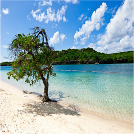 BARBARA BEACH This is a beach that was once only visited by the locals at weekends, but now... More