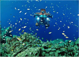 SUBSTATION CURAÇAO Another perfectly dry way to explore the island's sub-aquatic world is with Substation Curaçao's Curasub. This mini submarine takes you from Bapor Kibra, down the island's clear waters, where you will discover a mix of colourful fish, coral and mysterious shipwrecks, with a visibility of over 30 meters.