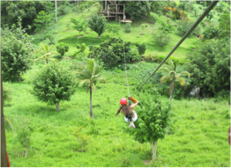 ANTIGUA RAINFOREST CANOPY TOUR What best than this unique and fun eco-tour to discover the island's natural beauty in all its splendour!With a state of the art safety system, staff training and inspections conducted by the ACCT, world leaders in challenge course equipment, this canopy tour gives visitors a chance to take their exploration of Antigua on another level - literally!