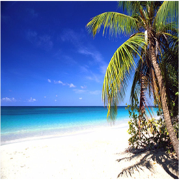 Martinique Beaches Compare Caribbean