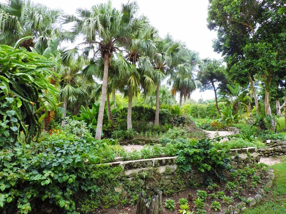 BERMUDA ARBORETUM This 22-acre large park is the perfect spot for those who wish to combine nature and exercise. A stunning variety of fauna and flora, set in beautiful forests and meadows featuring walking trails along which you will find a total of 20 fitness stations.