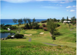 OCEAN VIEW GOLF COURSE Overlooking the ocean and featuring a public 9-hole course as well as a driving range. Perfect for a quick practice or game. Located on Barkers Hill, Devonshire.