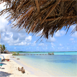 CAI Tucked away in Bonaire’s mangroves, this somewhat secluded beach offers a... More