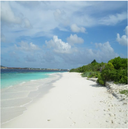 NO NAME BEACH Located on the uninhabited Klein Bonaire, this beach is a castaway fantasy... More