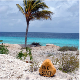 PINK BEACH Found on the southwestern coast of the island, this spot takes its name from... More