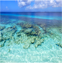 TE AMO This large white sandy beach offers not only impressive sights of arriving and... More