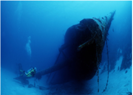 HILMA HOOKER Located near the beginning of the island’s double reef system, this world-famous site features a 1984 wreck with its top lying at 60 feet and its mast at 99 feet. With a depth ranging from 25 to 100 feet (8 to 30 metres), this dive offers great examples of coral development on an artificial site, and gives an idea of the necessary time for storm-damaged hard coral to redevelop.