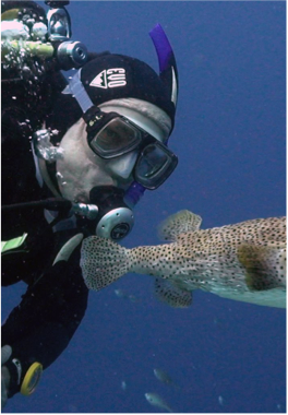 WINDSOCK Found southwest of Kralendijk, this relaxing beach offers divers the opportunity to encounter turtles and rays right from the sandy shallows, making it an ideal site for beginners and snorkelers. Depth ranging from 20 to 80 feet (6 to 25 metres).