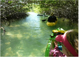 KAYAKING The calm waters that surround the island makes of Bonaire a great place to be explored by kayak. Amongst the recommended trips are Lac Bay and the mangroves located on the windward side of the island, all offering the opportunity to get close to and observe the local wildlife. On the leeward coast, kayaks can be rented from most diving shops and offer an alternative view of the coastline, with the opportunity of visiting Klein Bonaire.