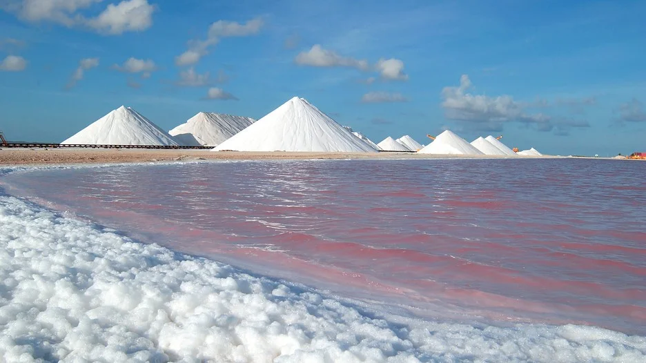 Bonaire-salt-pans.jpg