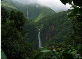 CARBET WATERFALLSAppearing in Christopher Columbus’ notes in 1493, the chutes du Carbet are one of the most visited sites in Guadeloupe. Located in Capesterre-Belle-Eau, this succession of three impressive waterfalls is found at the heart of the rai…
