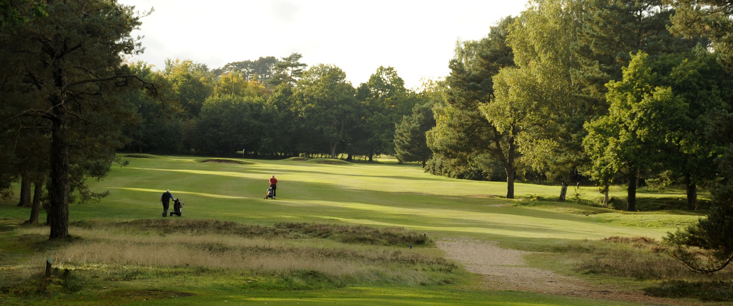   Golfing Breaks   In collaboration with Thetford Golf Club   Find out more  