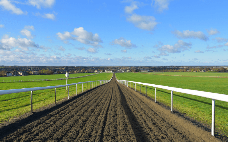 Thetford Hotel Near Newmarket Races: Accommodation for Racegoers