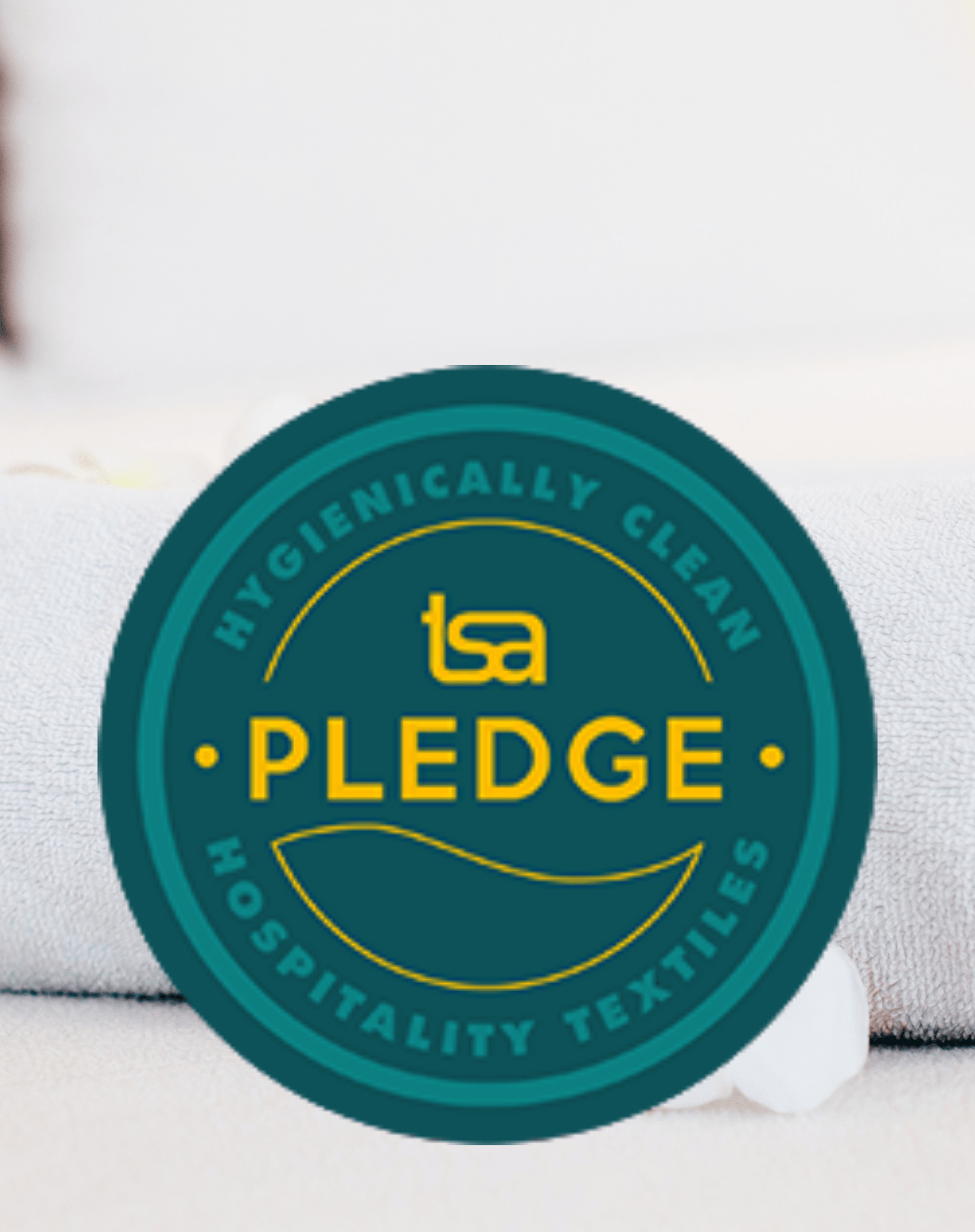 TSA Pledge logo
