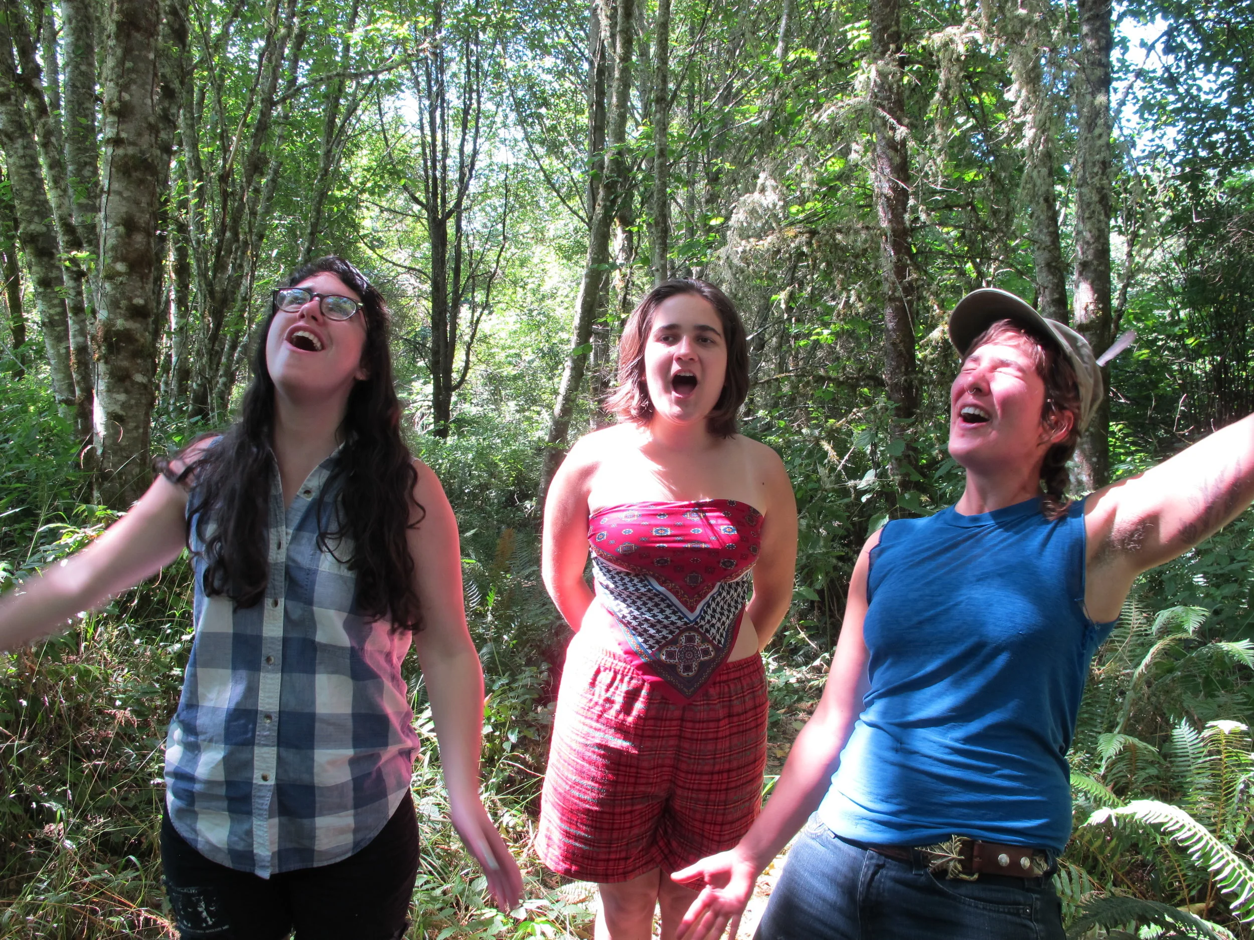  One participant lead a "Screaming Workshop," which involved the entire group hiking to a meadow and screaming loudly at her direction. She asked us to try screaming different words together and compare how each word resonated in our bodies. 