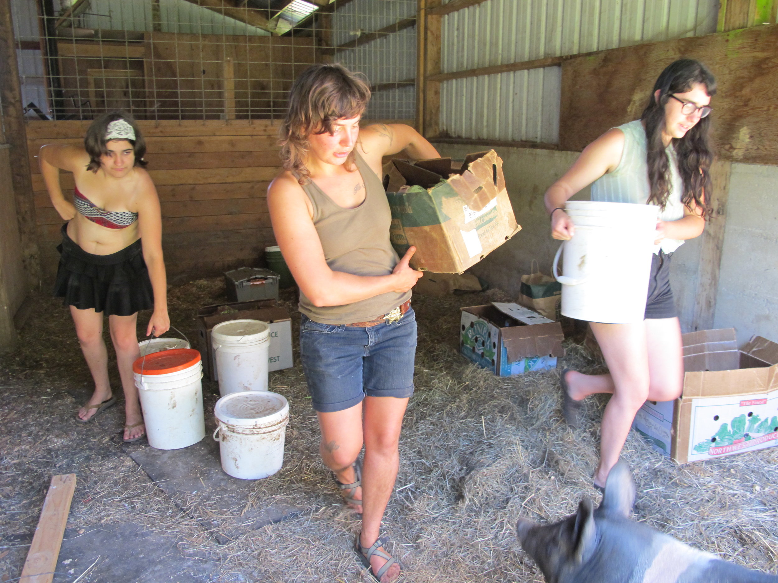  Camp participants were invited to help with farm chores each day, learning about basic farm operations and sustainable animal husbandry.&nbsp; 