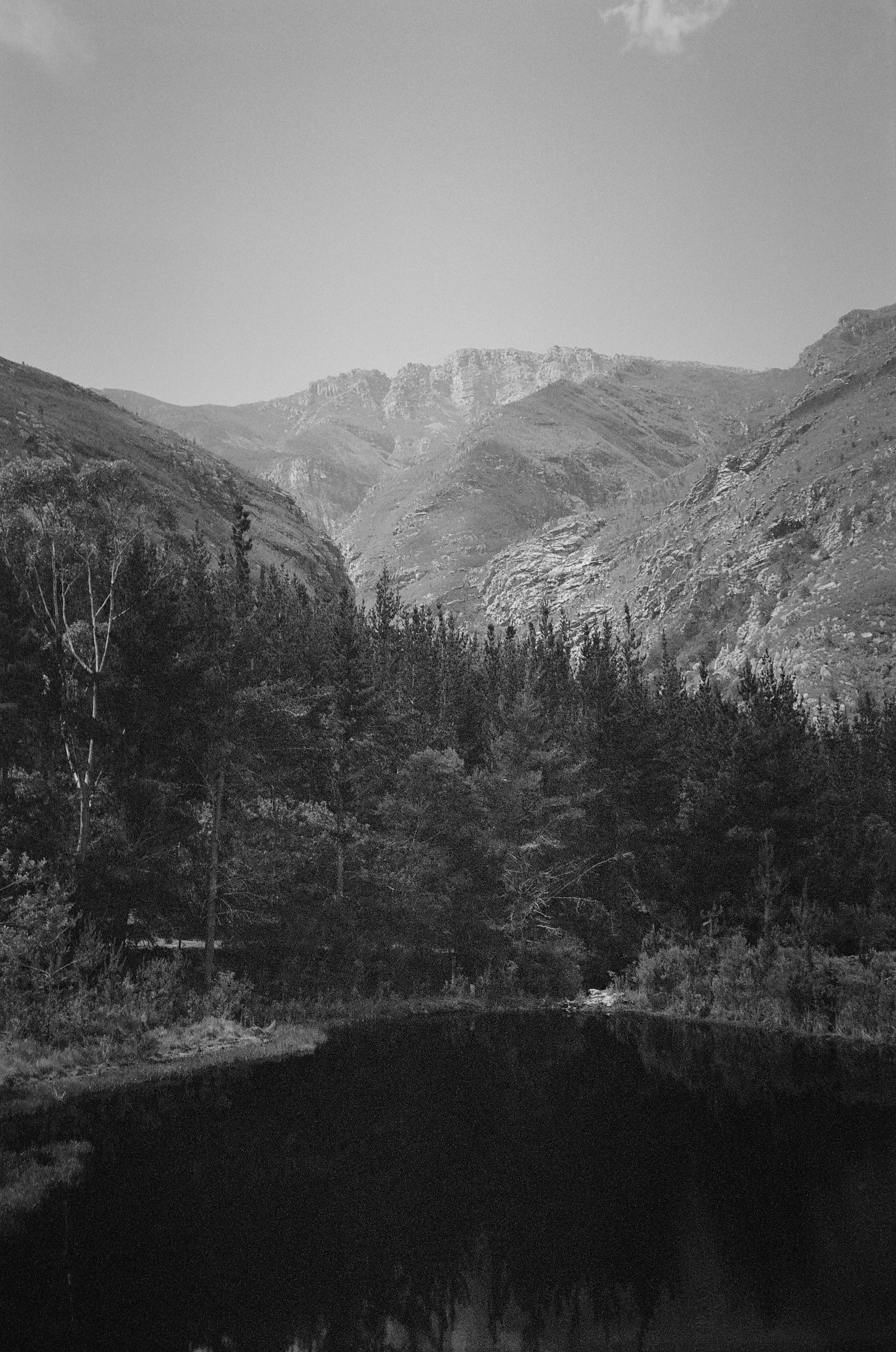 000905580010_8.jpg