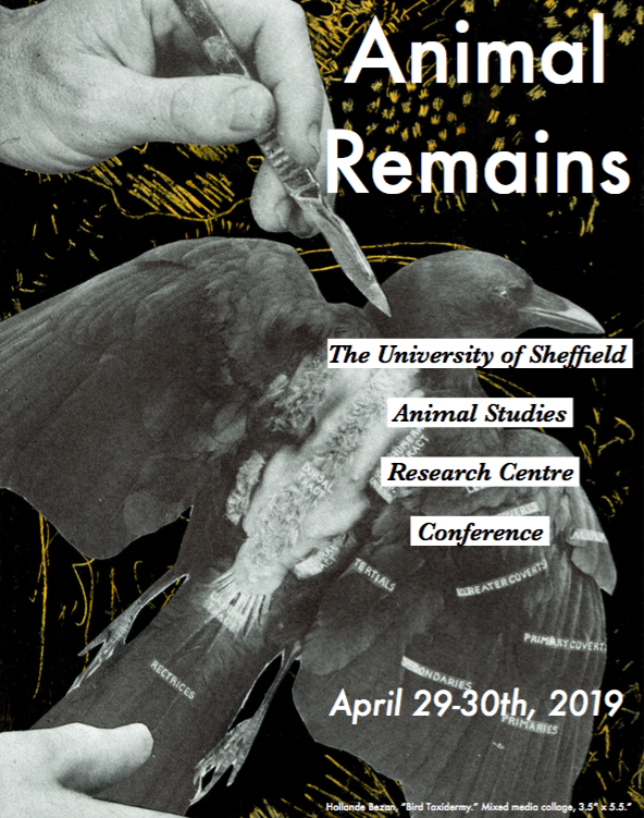 Animal Remains for Webpage.png