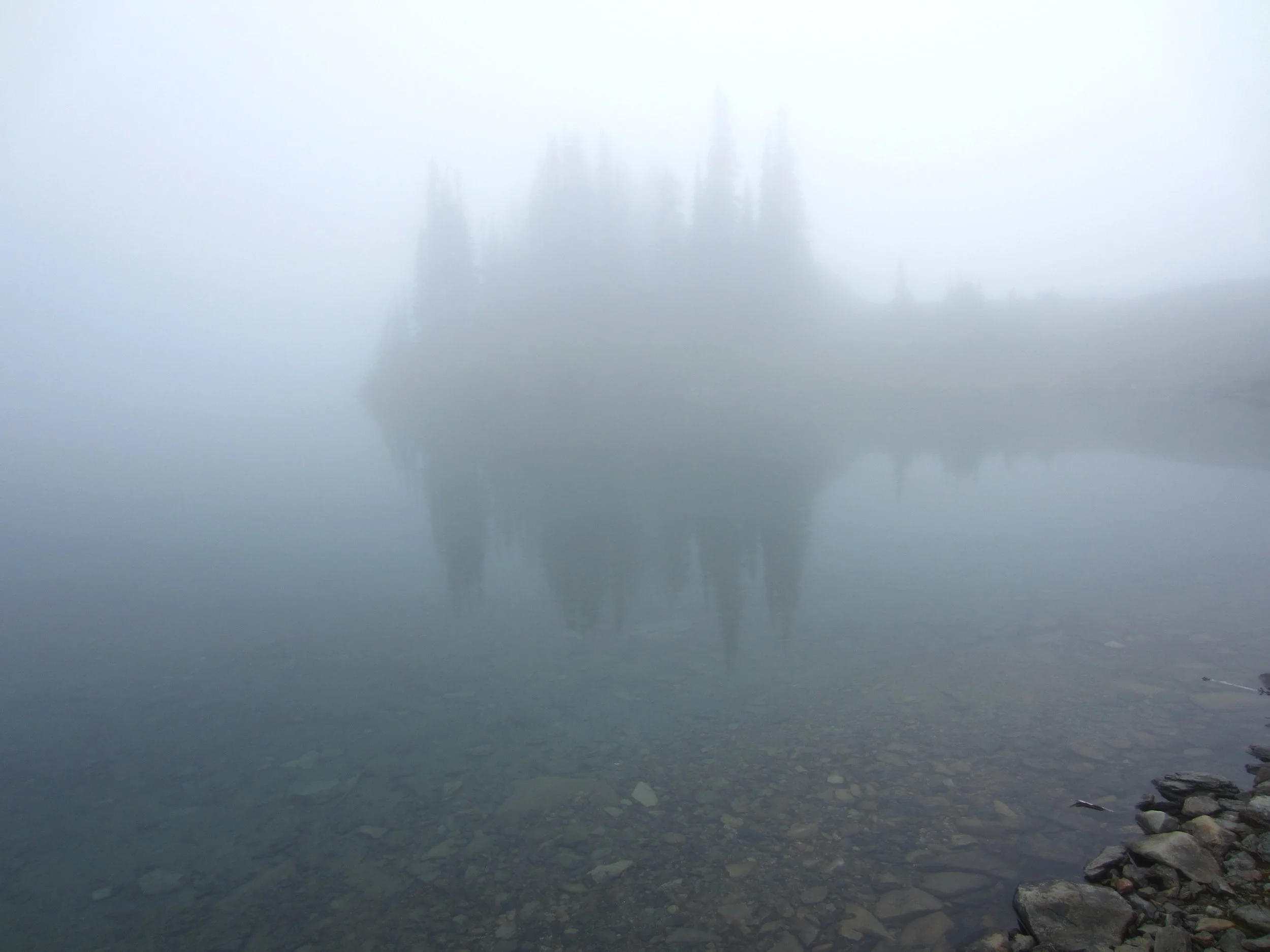 IMG_7735.JPG