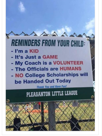Children's Sports Leagues